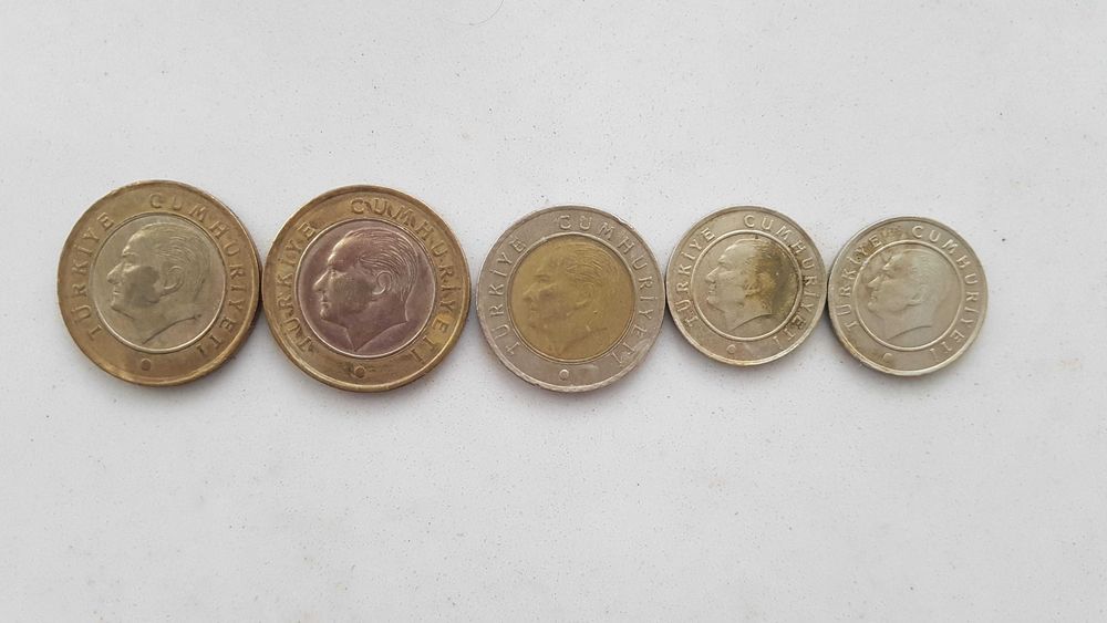 Liry tureckie obiegowe