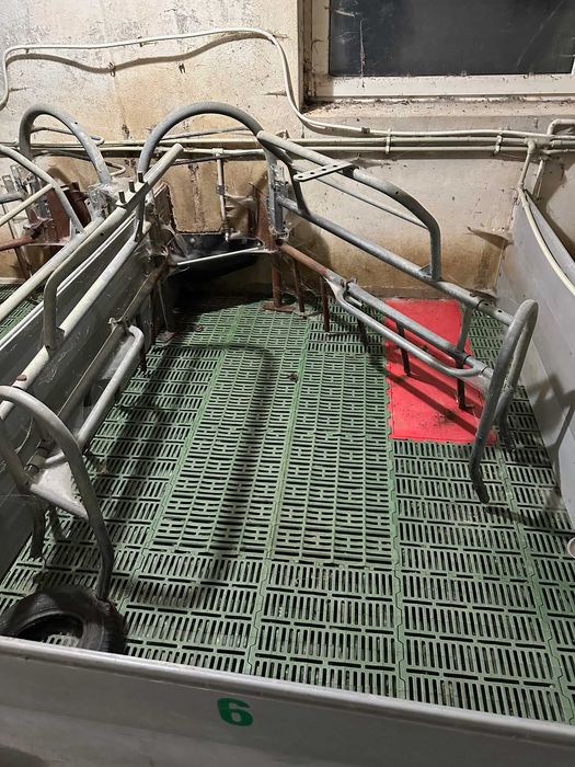 jarzma kojce porodowe loch skośne używane 32 sztuki