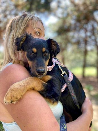 Kiwi - maleńka przerażona schroniskiem sunia do pilnej adopcji