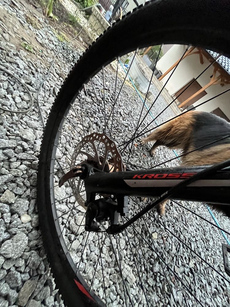 Rower kross black edition 1