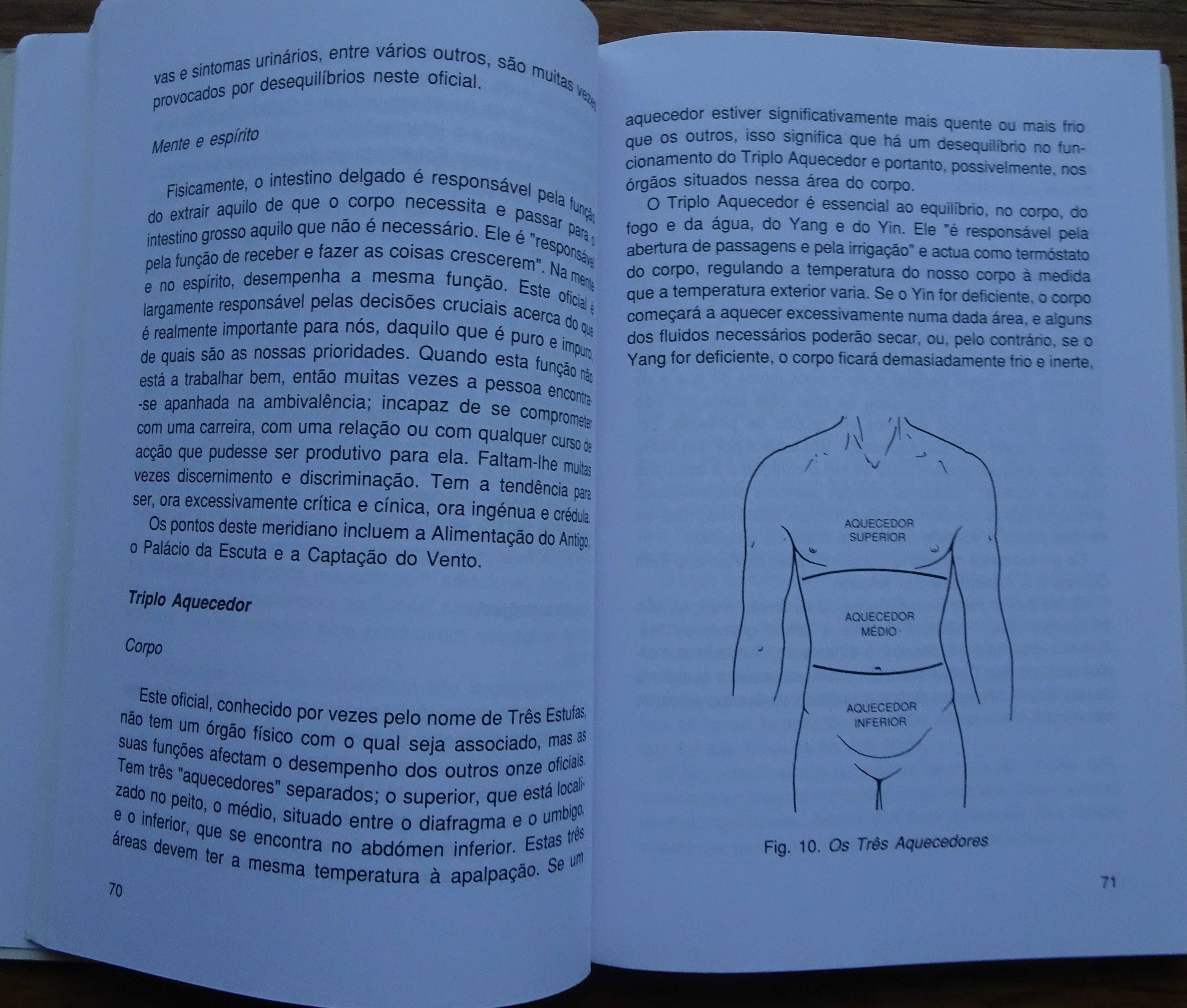 A  Acupunctura de Peter Mole