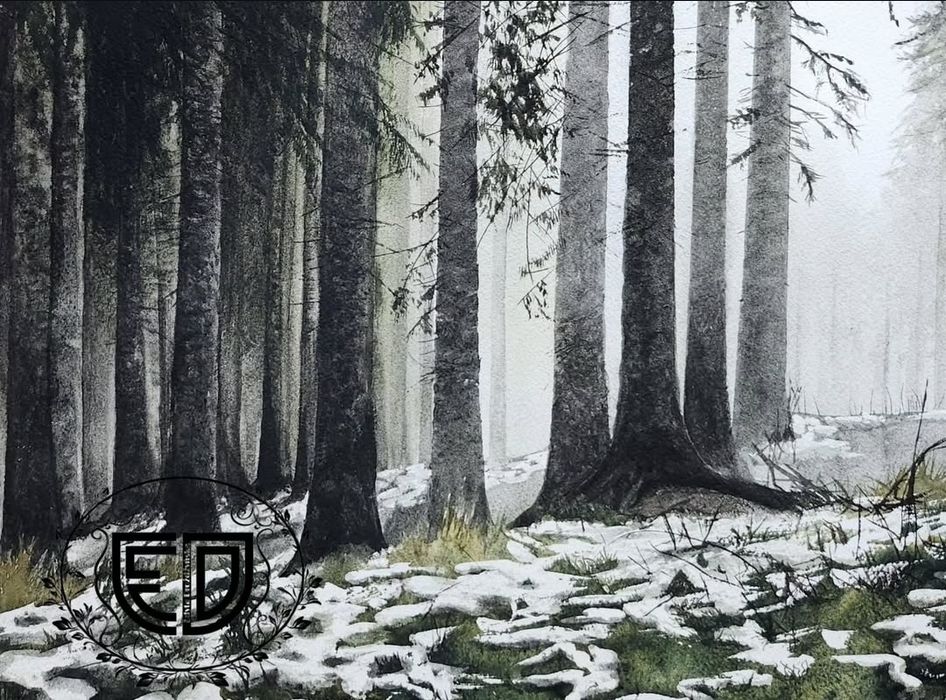 Las świerkowy 60x45cm przedwiośnie zima obraz akwarela