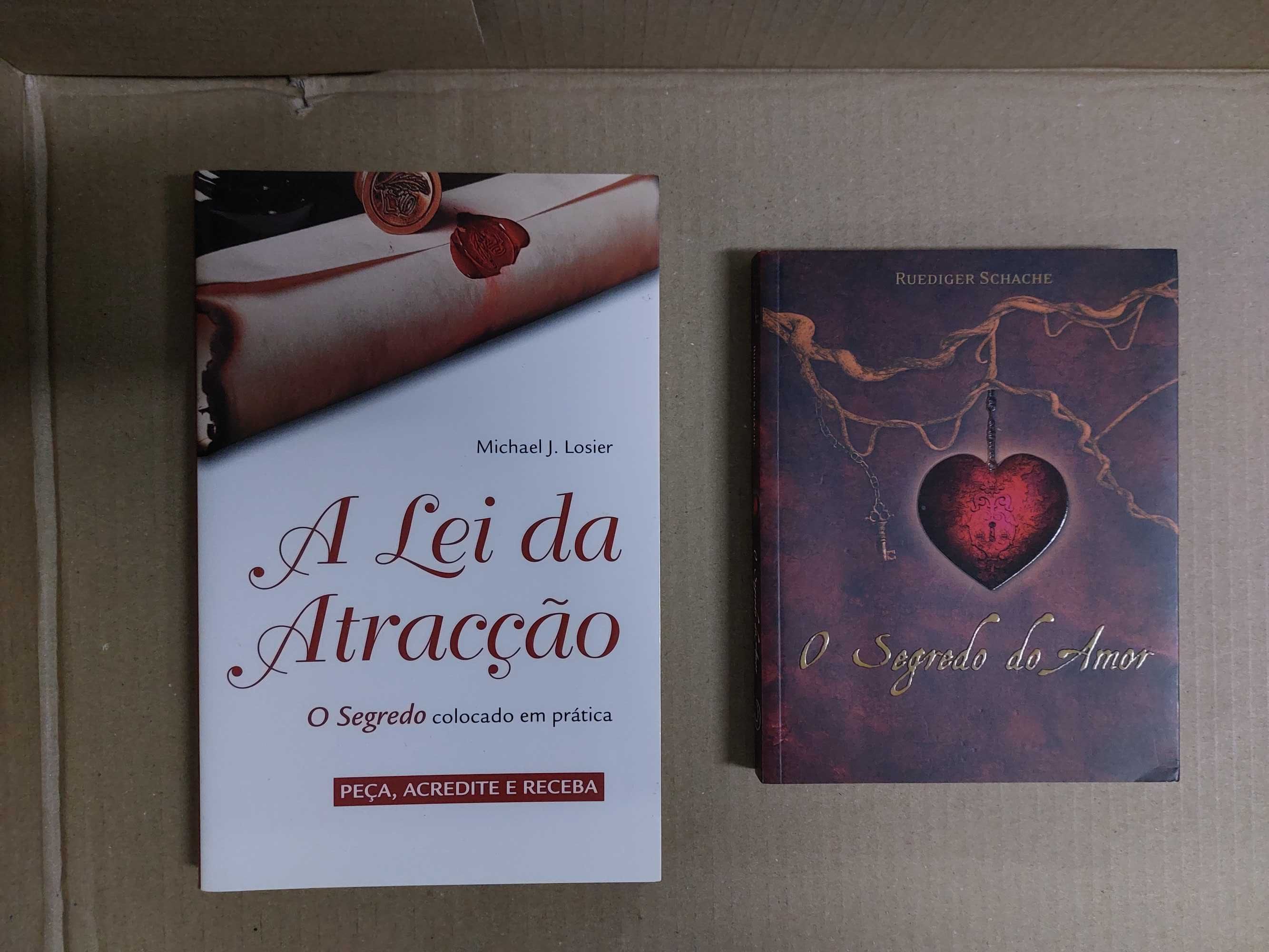 Livros - O segredo do amor - NOVO