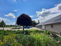 Hala murowana/budynek usługowy 840m2 wraz z budynkiem 56m2 + parking