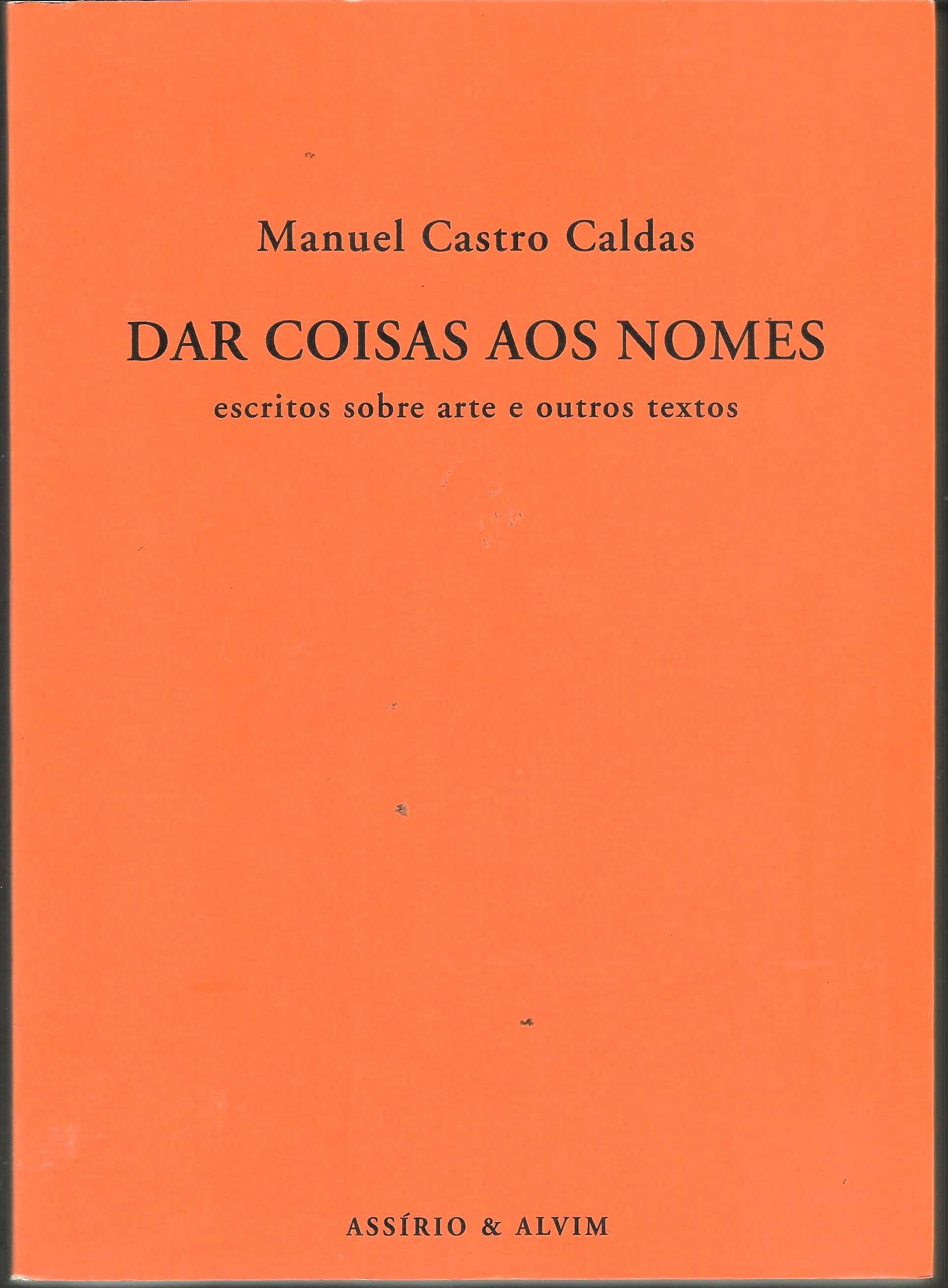 M. Castro Caldas - Dar nomes às coisas - Portes incluídos