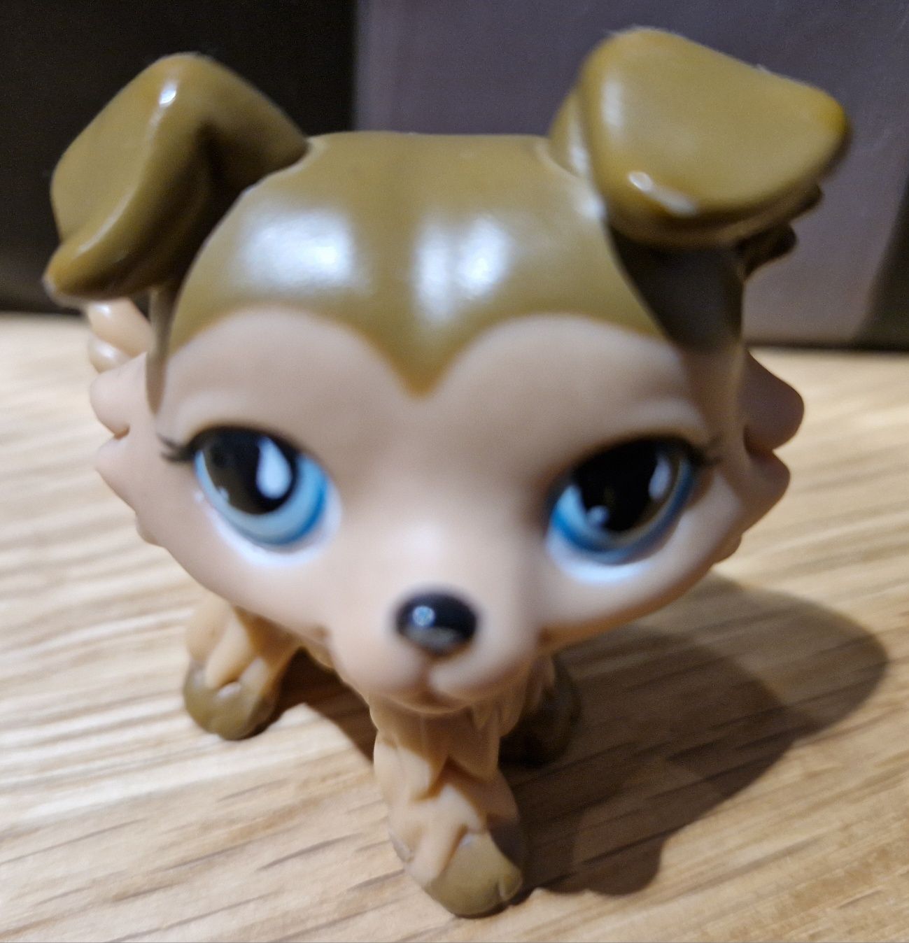 Littlest Pet Shop Collie 853