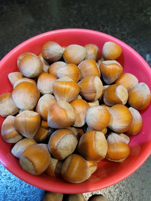 Orzechy laskowe 5kg SUPER JAKOŚĆ zbiór 2025