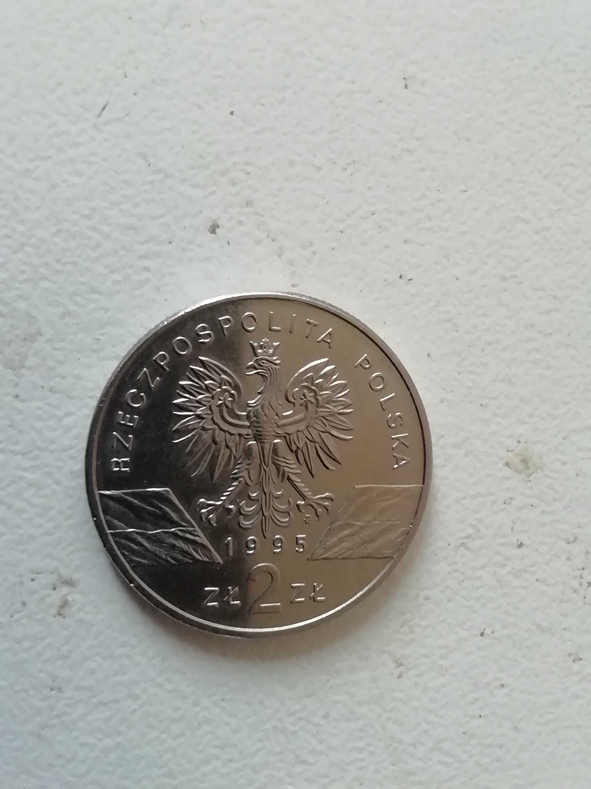 Moneta 2 zł. Polska z 1995 r. Sum stan dobry