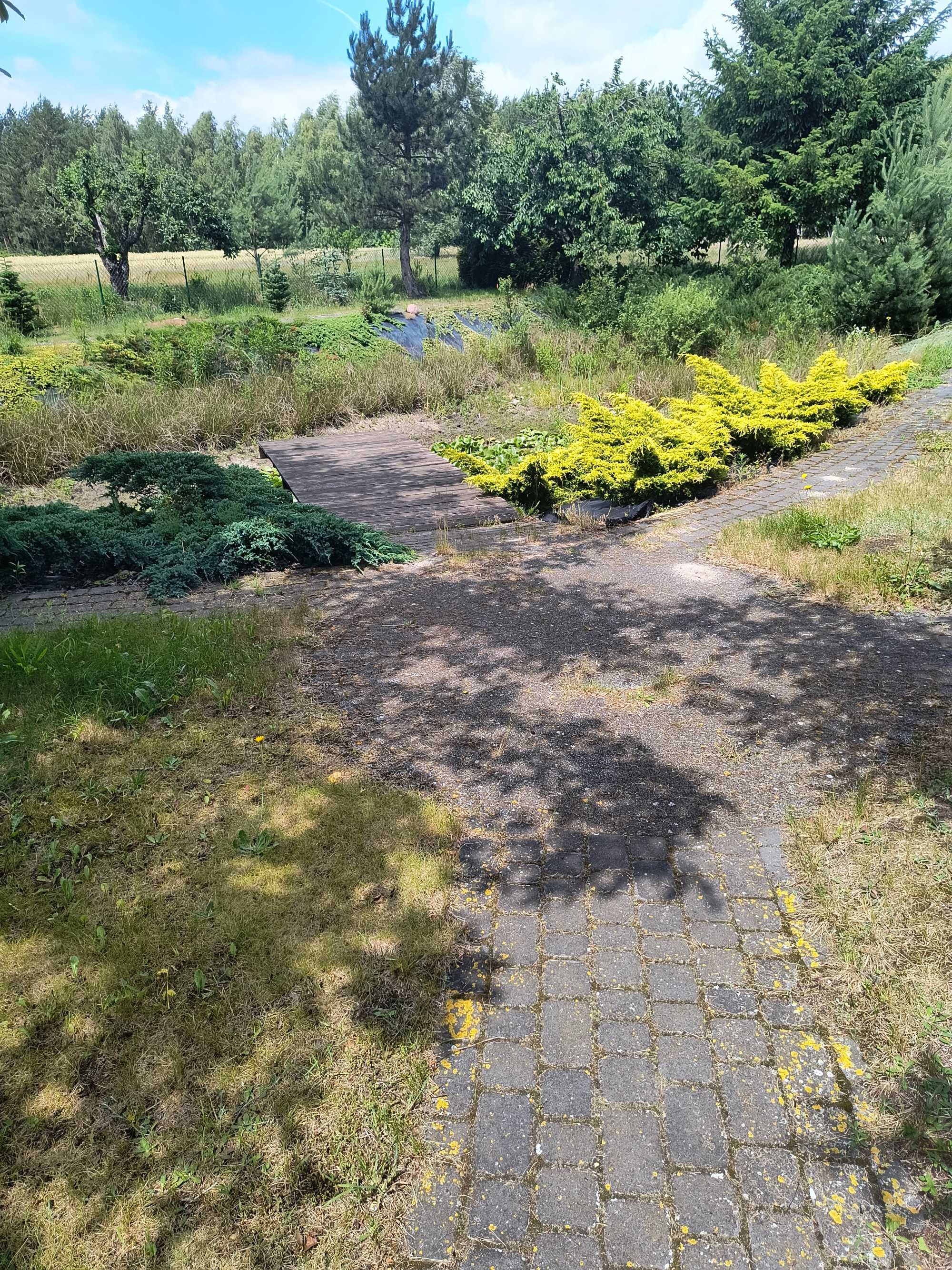 domek z kominkiem, bilardem- prywatny las, zwierzęta mile widziane