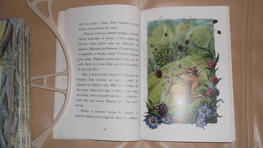 livro para menina bonito