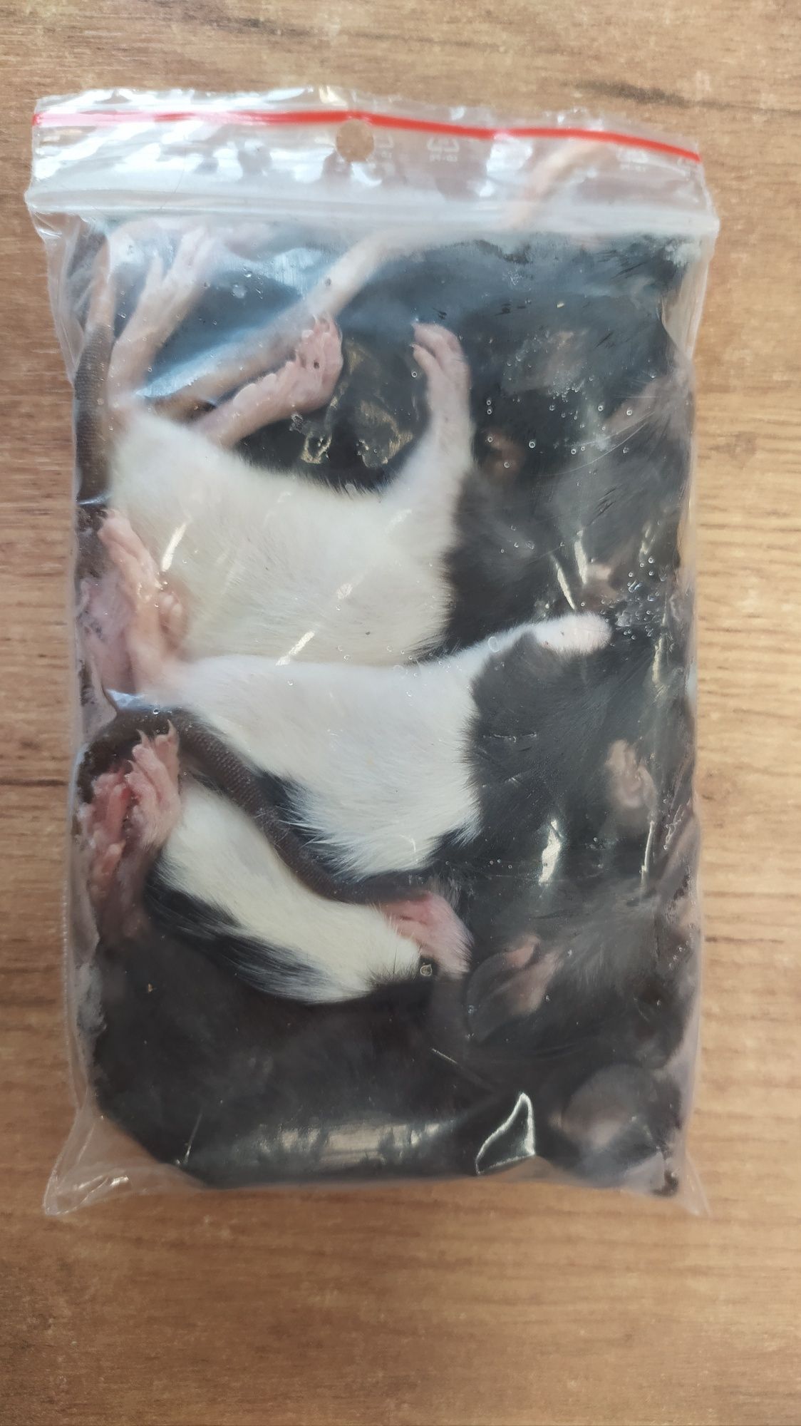 Mrożone szczury, karmowe 30/40 g