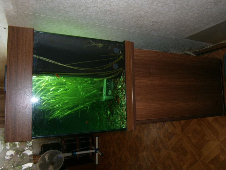 Аквариум juwel Германия с тумбой 180 л.