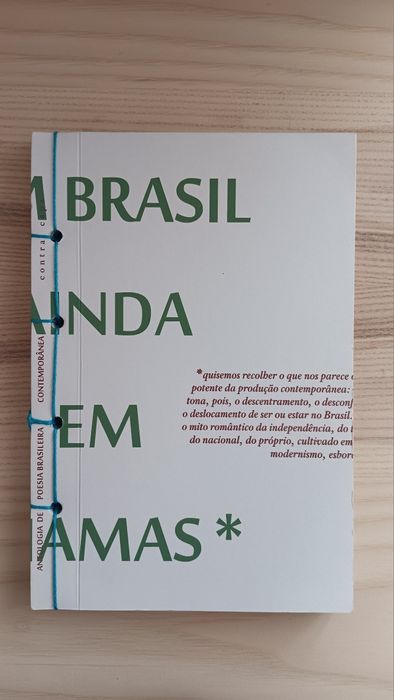 Um Brasil Ainda Em Chamas,Antologia de Poesia Brasileira Contemporânea