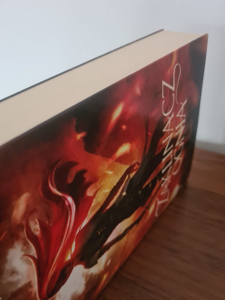 Zaklinacz ognia - Cinda Williams Chima