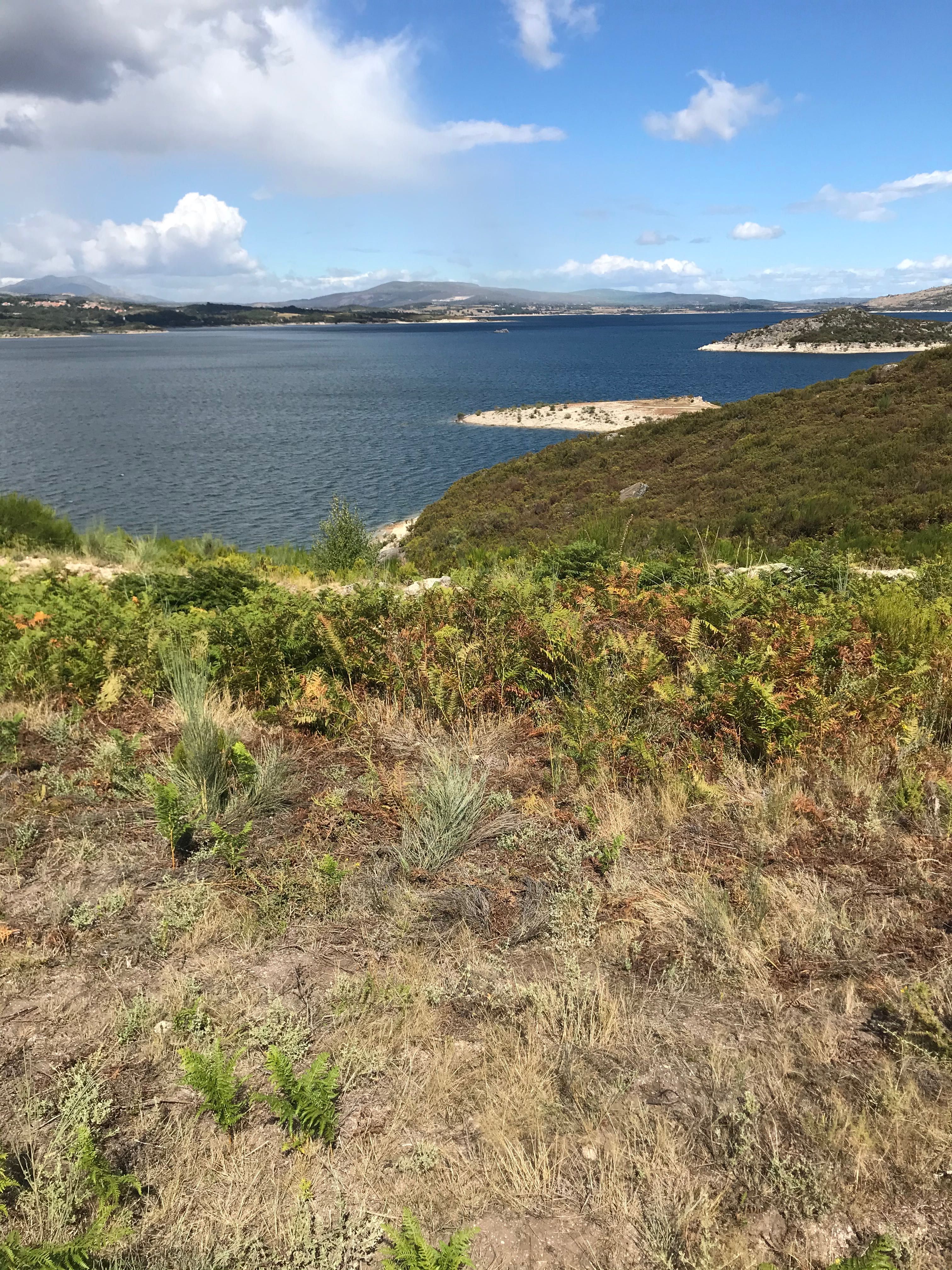 Terreno rústico na berma barragem pisões