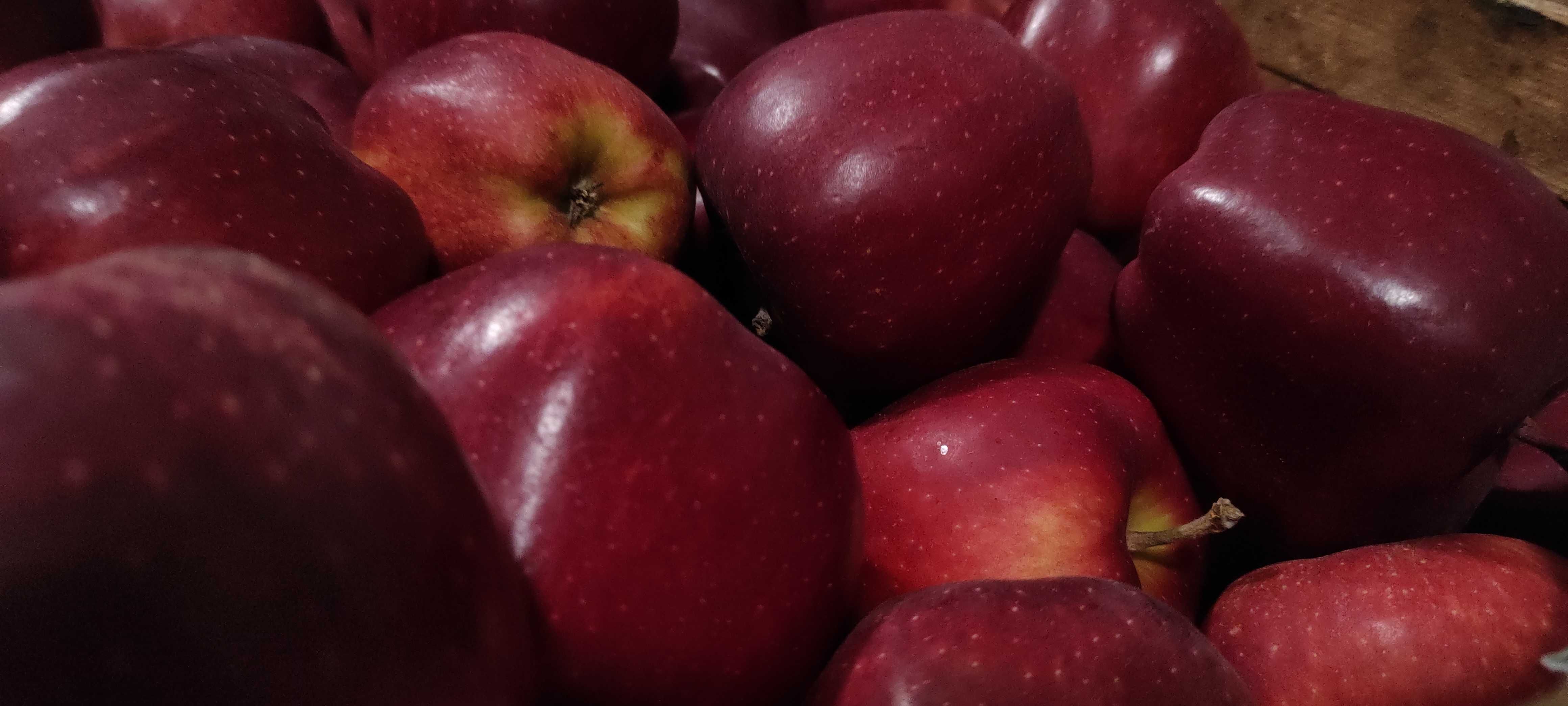 Świąteczna skrzynka jabłek mix odmian 18kg od sadownika