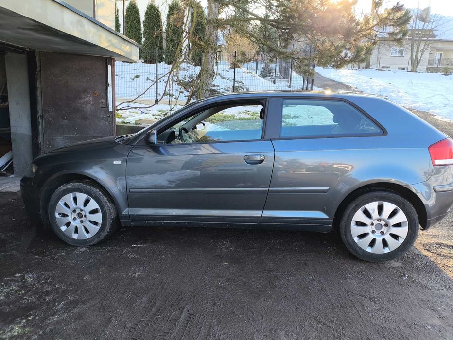 Audi A3 1.9 TDI 8P