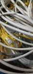 Cabos ethernet cat 5 cat 6