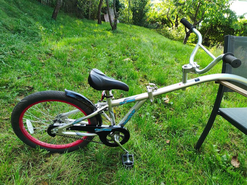 Przyczepka rowerowa dla dziecka WeeRide Co-Pilot