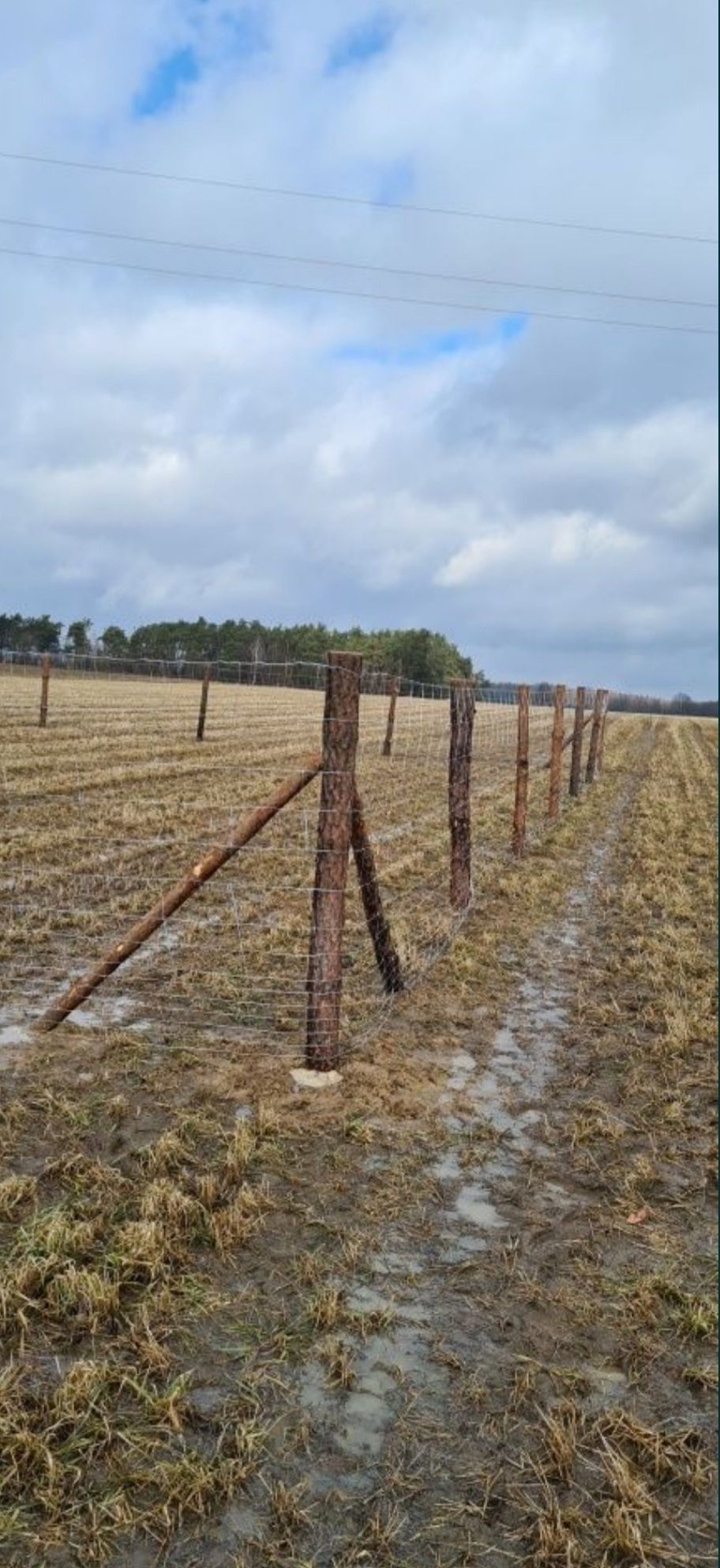 Ogrodzenie budowlane, ogrodzenie tymczasowe, ogrodzenie leśne