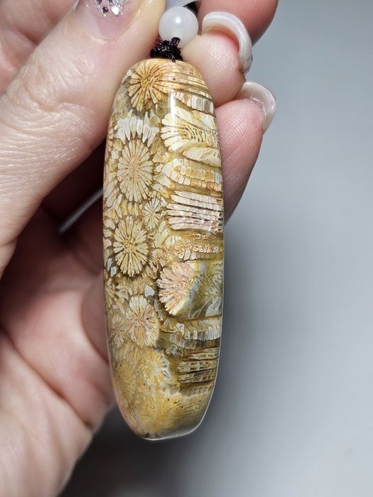 Koral kopalny naturalny.