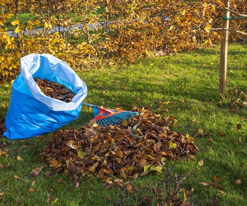 Wywóz liści gałęzi krzaków śmieci gruzu mebli sprzątanie działek złom