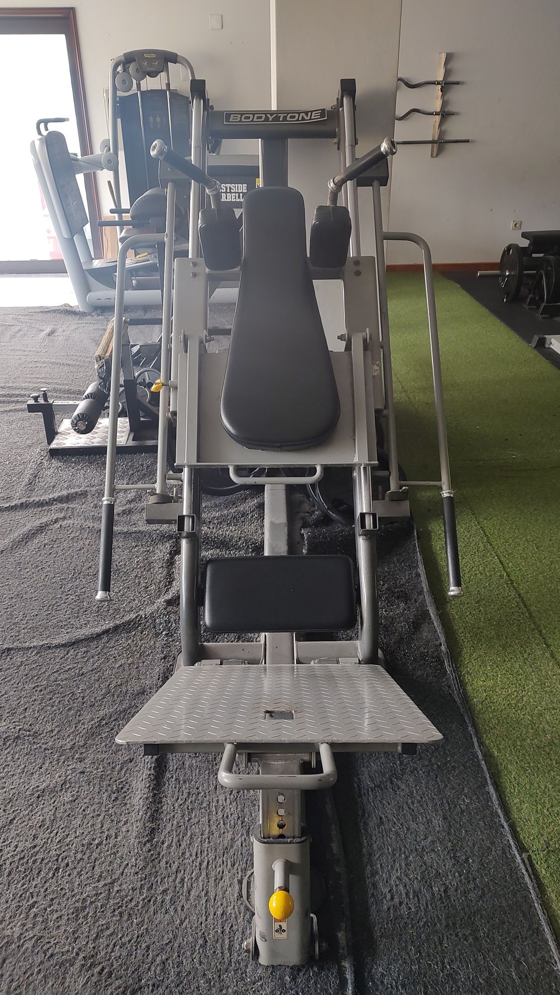 Prensa 45/Hack Squat