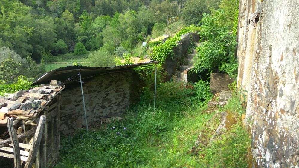 Vende se Casa com Quintal