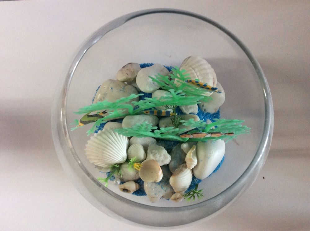 Сухой аквариум акваріум набор для творчества детский декор