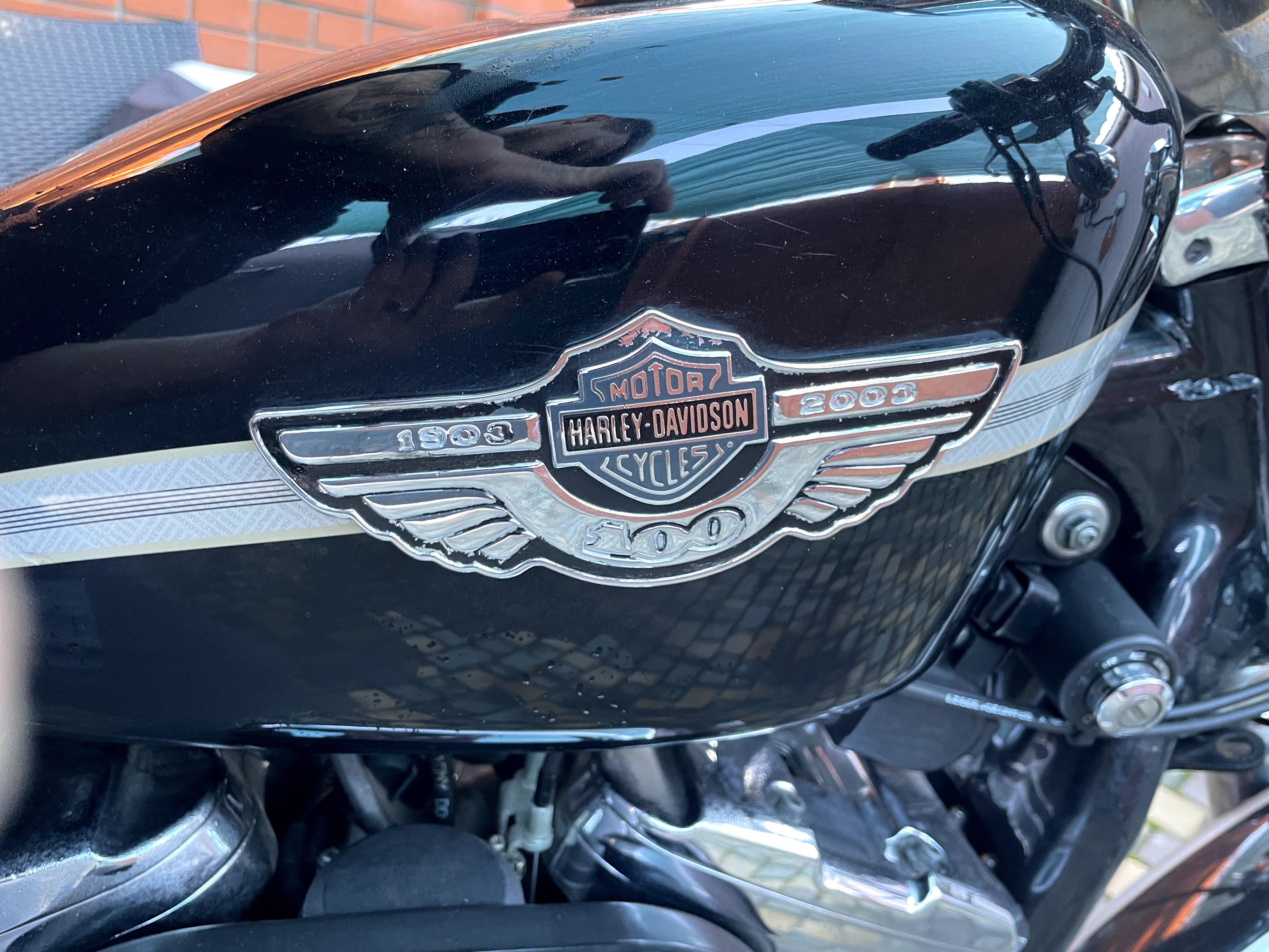 Harley Davidson Sportster 1200 custom 2003 Anniversary