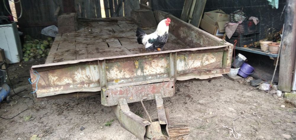 Продається прицеп до трактора т25 те