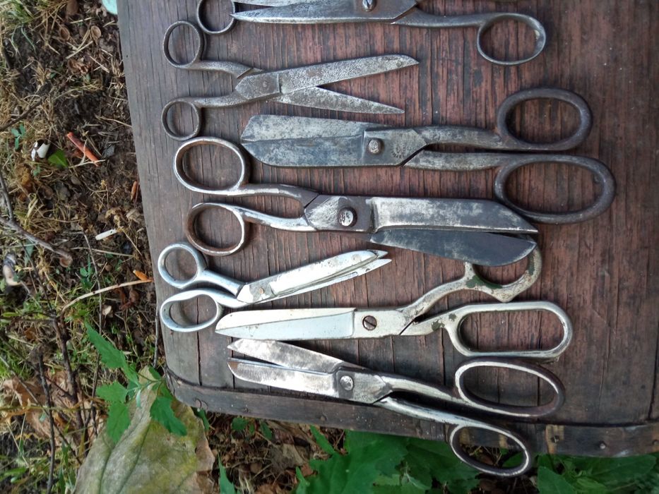 Ножницы.коллеция.Ассорти