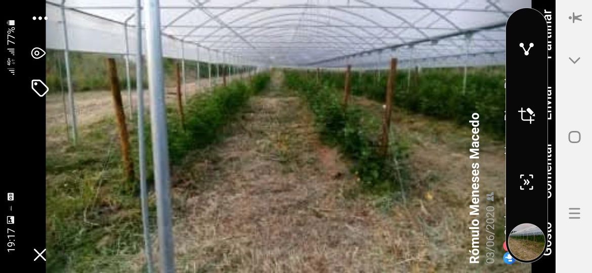 Estufas agrícolas