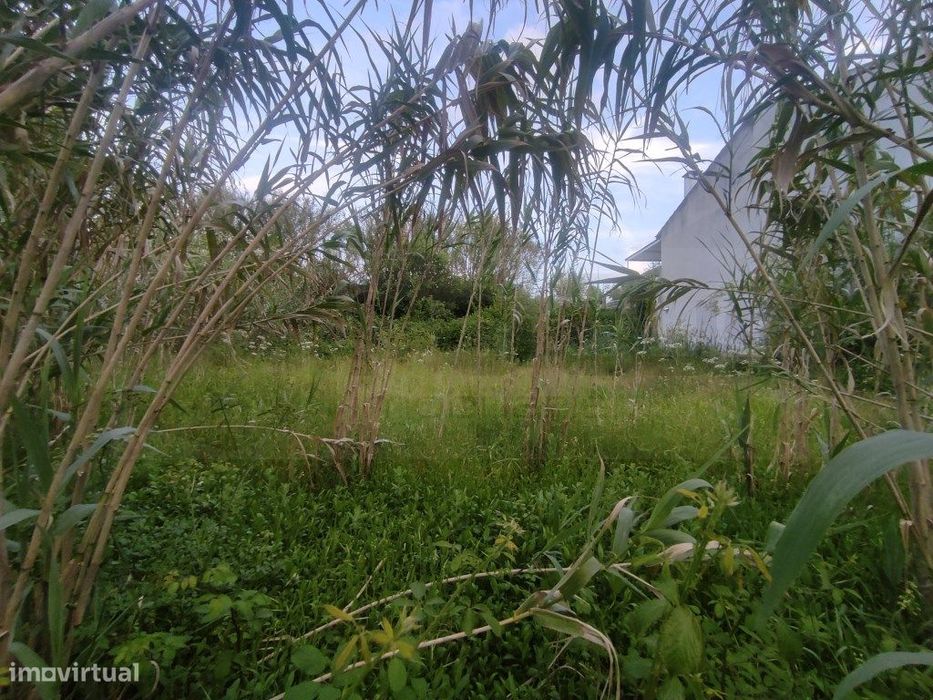 Lote de terreno para construção de moradia - Palhaça