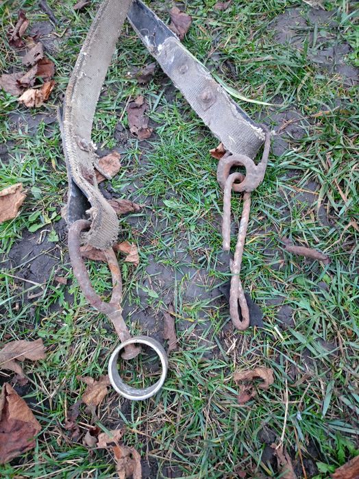 Привязь упряж поводок