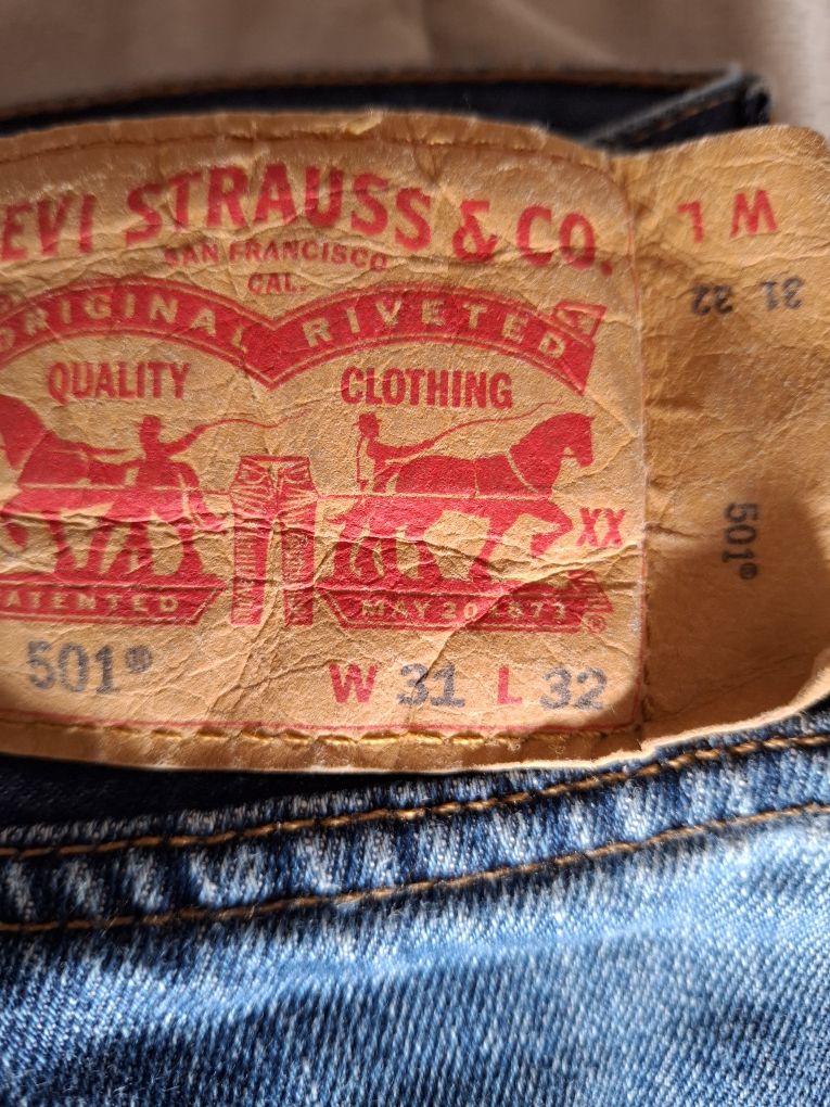 Calsas levis  501. N. ⁸31