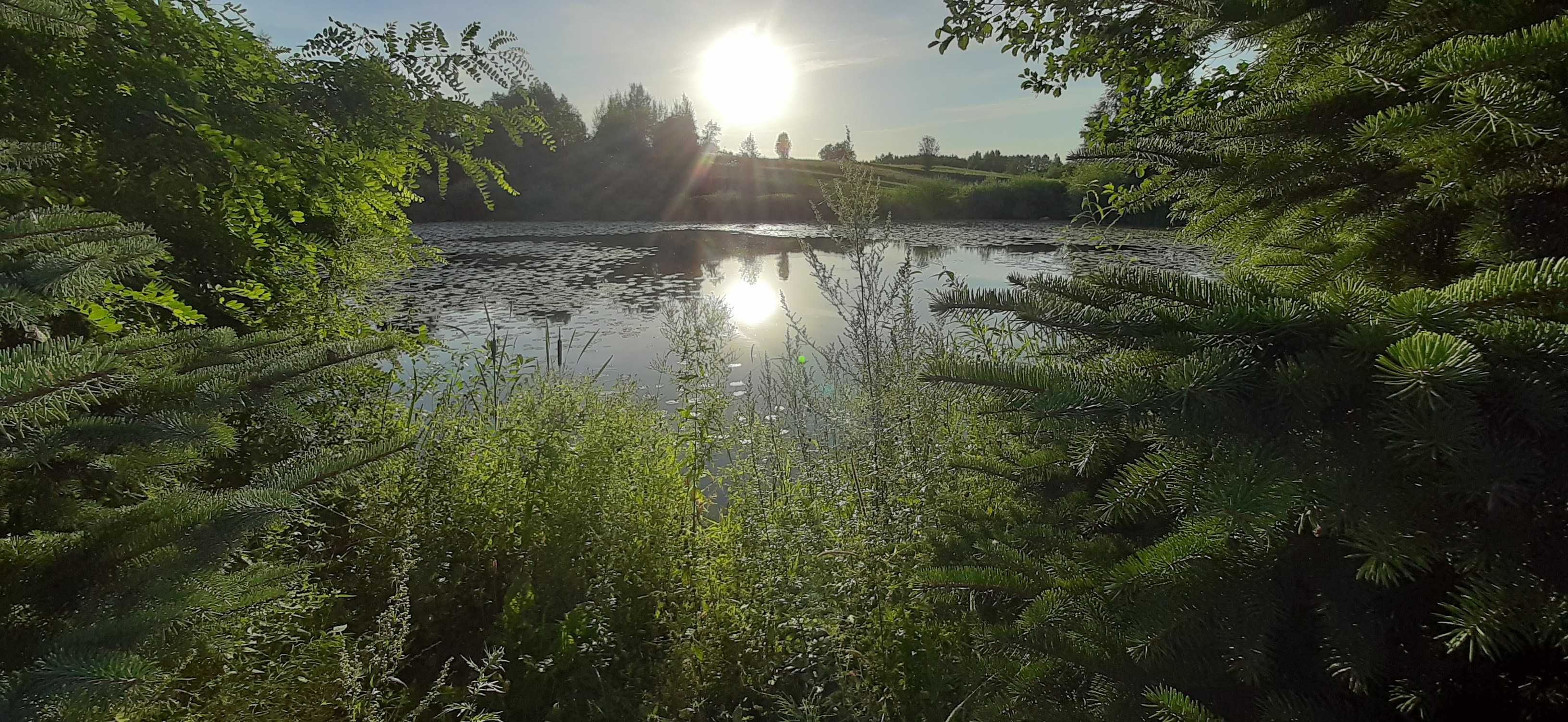 Sok jabłkowy, marchewkowy, burakowy 100% naturalny. Zawsze świeży.