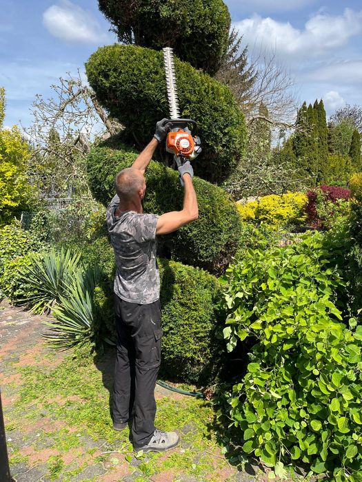 Usługi ogrodnicze i przy domowe.