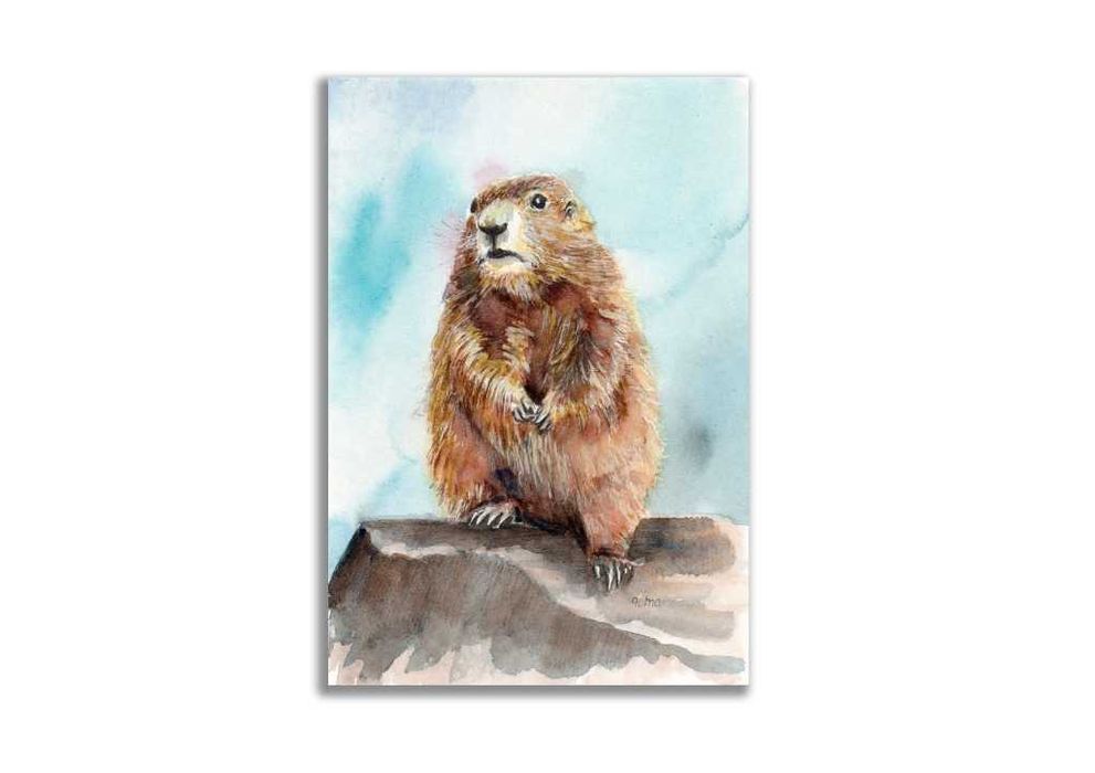 Obraz ręcznie malowany "Świstak" +rama