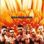 Вініл платівки Rammstein