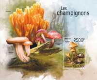 Togo 2014 cena 6,90 zł kat.7€ (3) - grzyby, blok