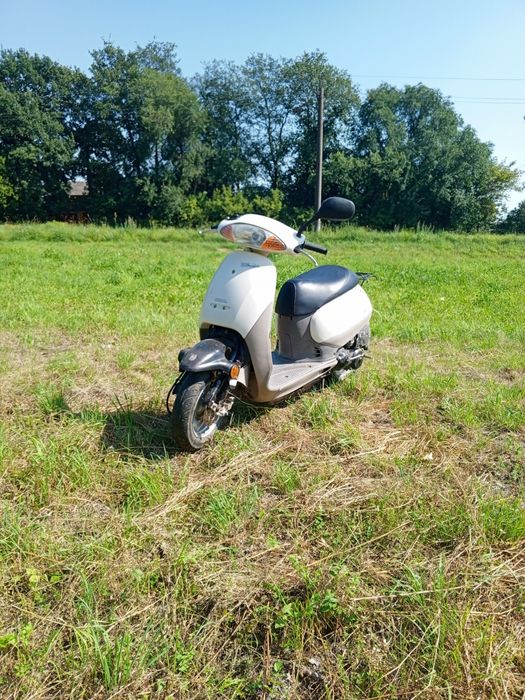 Продам скутер Хонда так аф 51