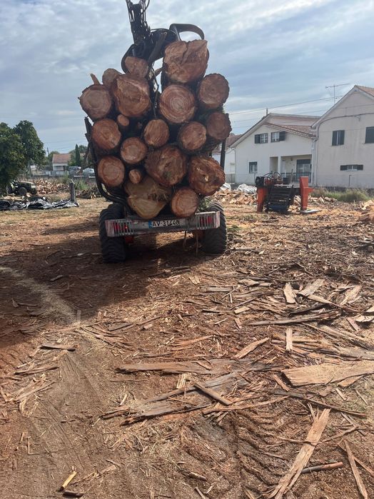 Conjunto trator e reboque florestal