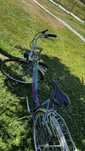 Sprzedam rower Alpina