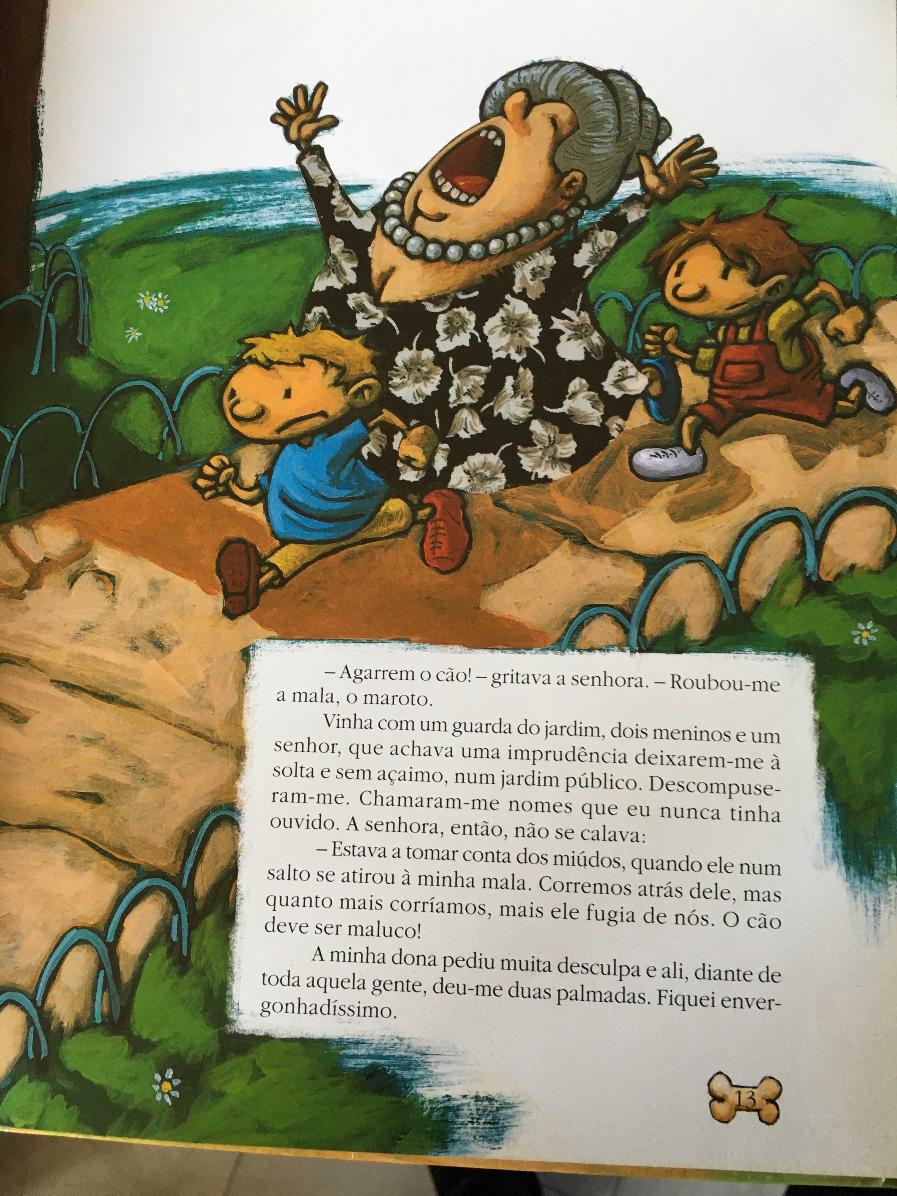 Livro "As aventuras de Caidé e O gato que queria ser rei"