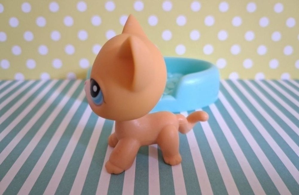 Littlest Pet Shop LPS unikatowy kot Shorthair #71 pop