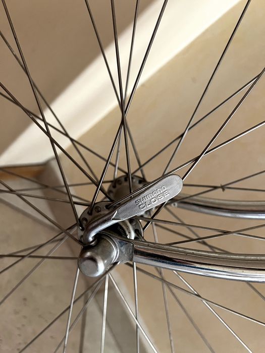 Szosa, oryginalny PinarelloVeneto rama Columbus koła Campagnolo RETRO