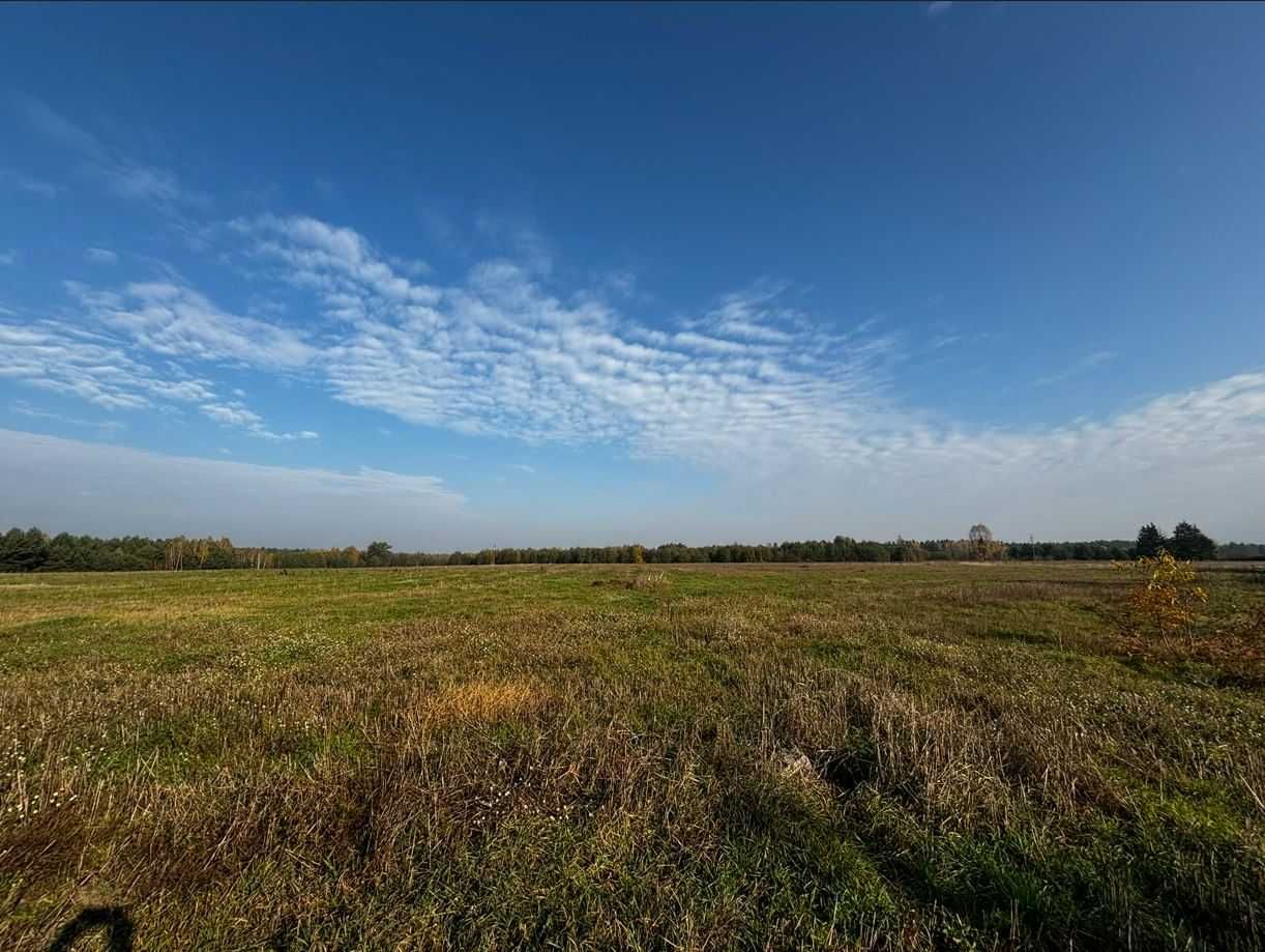 Nieruchomość zabudowana 7,68 ha w Błędnicy, gm. Małkinia Górna