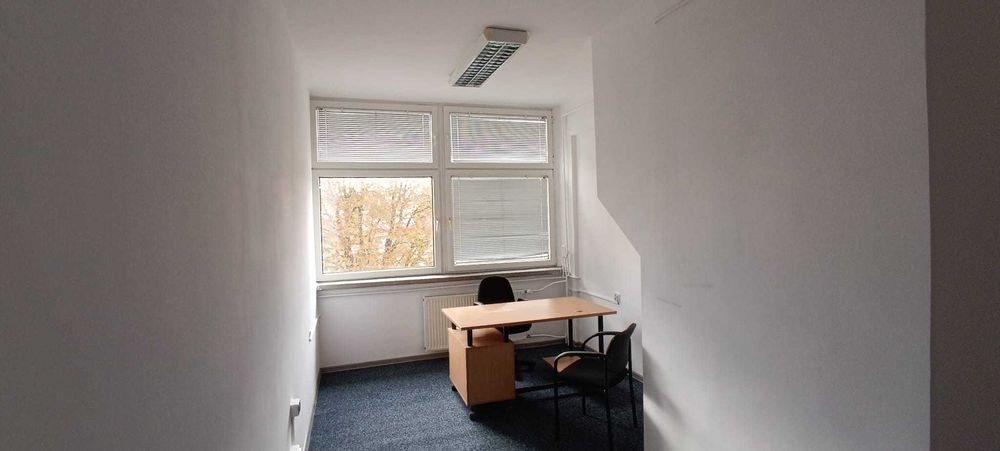 Lokal do wynajęcia Krosno