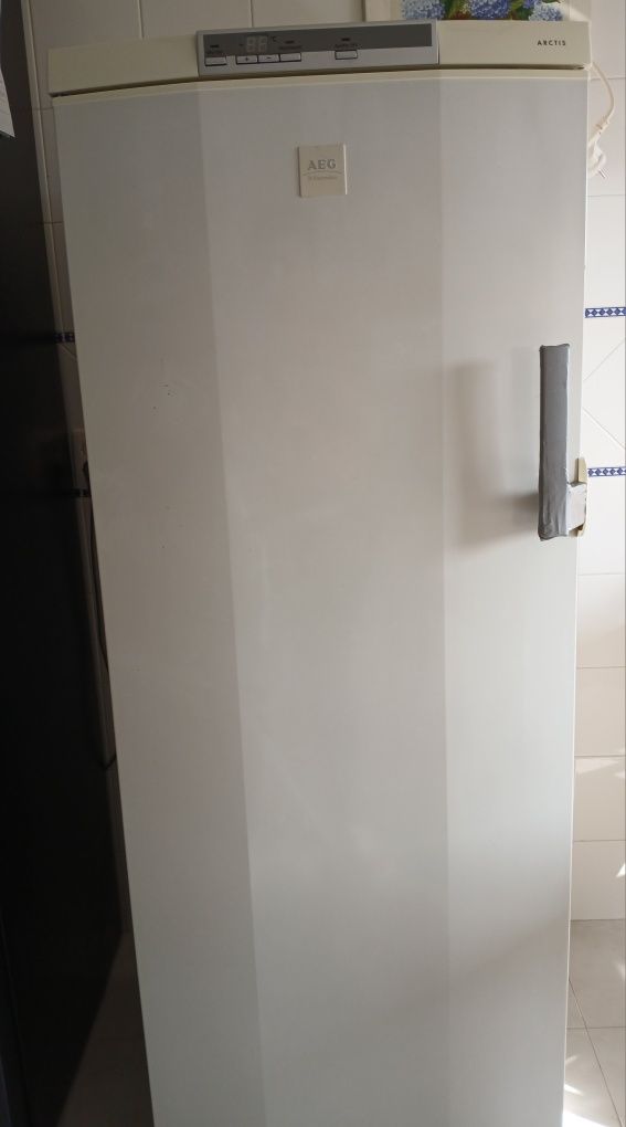 Arca congeladora vertical AEG